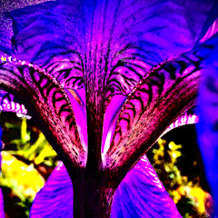 01 Galop - A1 - Warmup