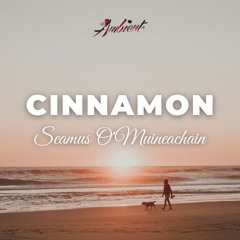 Seamus O'Muineachain - Cinnamon