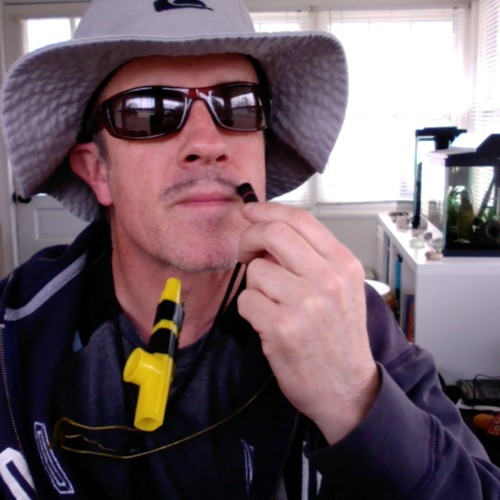 Stream Pencil Thin Mustache Jimmy Buffett Cover by Romanorama Listen