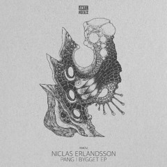 Premiere: Niclas Erlandsson - Trakmans (Orion Remix) [Antimodus]