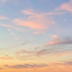 Day Thirteen - Everloving
