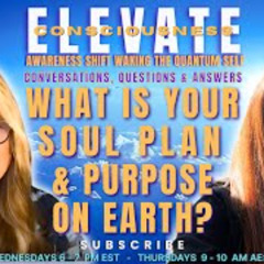 Depression and Purpose What_s Your Soul Plan_ - on ELEVATE The Awareness Shift