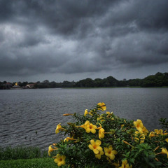 လိုနေချိန်တိုင်း- ကိုဖီးလ် myanmar lyrics songs