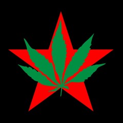 The Rochester Jam-Punk Blues