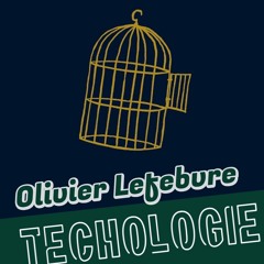 #88 Aux ingénieurs qui doutent dans leur cage dorée avec Olivier Lefebvre