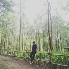 Goodbyes - Post Malone (Cover)