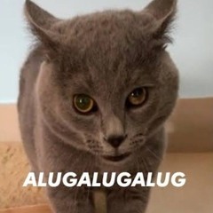 Alugalug Cat 2.0 (Koray Ata Extended Edit)