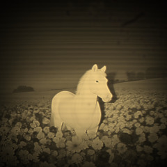 Nana del Caballo Grande (Techno Remix) [Free Download]