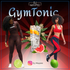 Gym Tonic Vol°1 (Afrohouse 2k25)