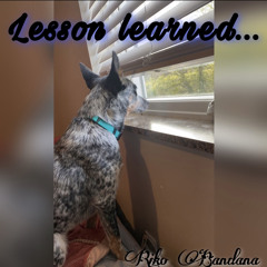 Lesson Learned