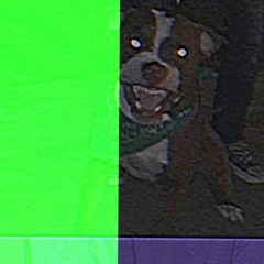 OOSIE DOOSE FREESTYLE