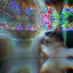 demo//1\\