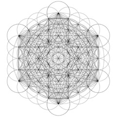 don't kill me (extended)