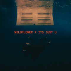 Wildflower x Its Just U - Billie Eilish x Shiden