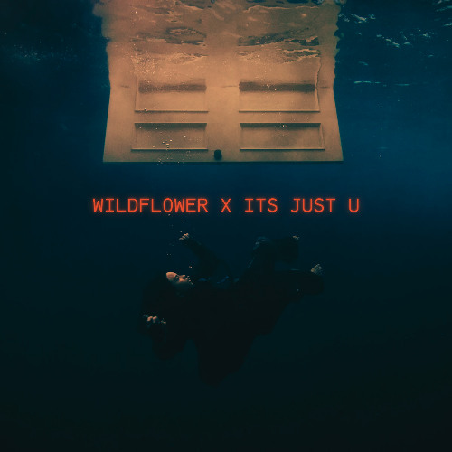 Wildflower x Its Just U - Billie Eilish x Shiden