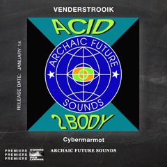 PREMIERE CDL \\ Venderstrooik - Cybermarmot [ARCHAIC FUTURE SOUNDS] (2022)