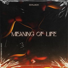 Meaning of Life (Radio Mix)