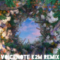 VOICENOTE K2M REMIX