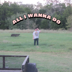 all i wanna do