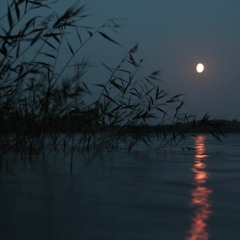 Moon Over The River