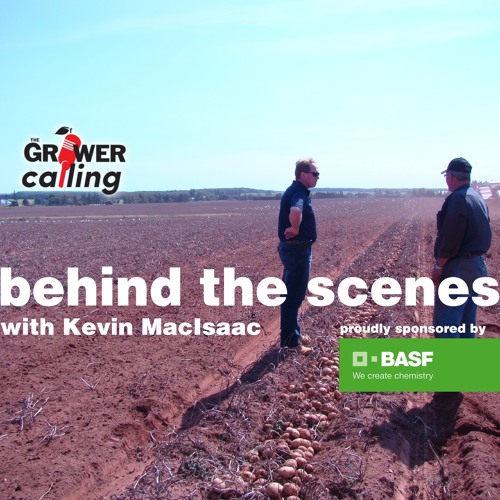 Kevin MacIsaac surveys the Canadian potato sector