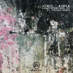 Quail & AISHA - Hidden Form (Soma593d)