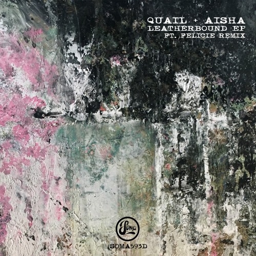 Quail & AISHA - Hidden Form (Soma593d)