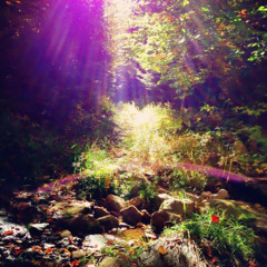 AdmireYourPsyche @chaos