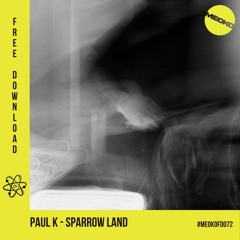 GIFT TRACK | Paul K - Sparrow Land | FREE DOWNLOAD