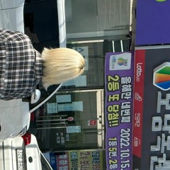 LOLO(놀러)