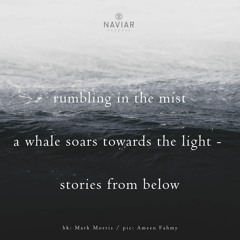 Echoes in the Mist (Naviarhaiku326)