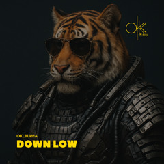 Okuhama - Down Low (Original Mix)