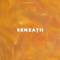 Tennebreck & D.E.P. - Senzații (Cover) (Afro Flavor) [Extended]