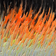 Welcome To The Jungle Beach