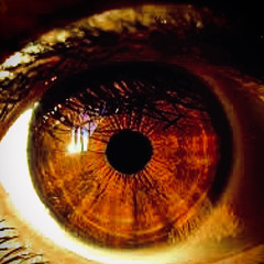 Look Me In The Eye