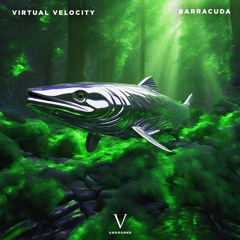 Virtual Velocity - Barracuda (Original Mix)