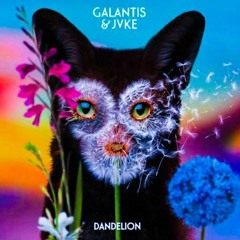 Galantis & JVKE -  Dandelion (Seth Austin Remix)