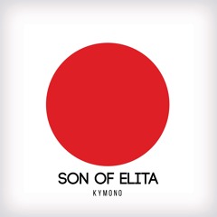 Premiere : Son Of Elita - Mandala [DUSHEL155]