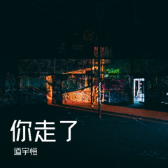 你走了
