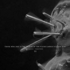 Ghostt - Those Who Are In The Realm of The Flesh Cannot Please God (Blacksmith Ramayana Remix)