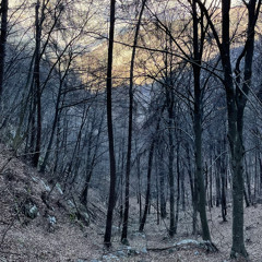 OdeToDolores - 1/18/24, 4.02 PM.mp3