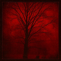 poison tree (prod.sphynx)