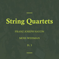 String Quartet No. 3 in G Minor, Op. 20: I. Allegro con spirito