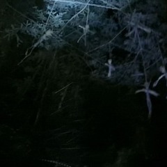 Delaware (Prod. R.I.P) *Video In Description*