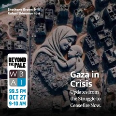 Gaza in Crises