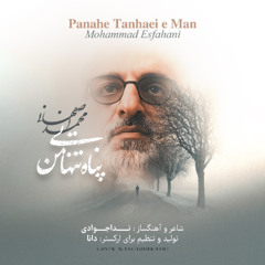 Mohammad Esfahani - Panahe Tanhaei e Man