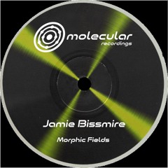 PREMIERE: Jamie Bissmire - Geomancers Compass