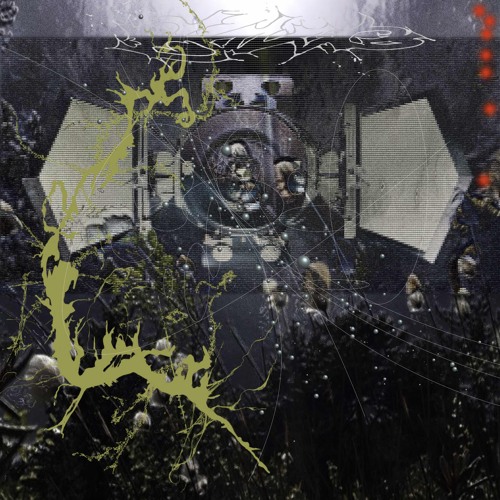 Bo Yin- 反芻 / fǎn chú