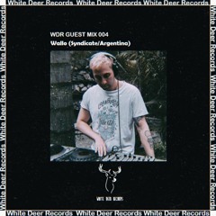 WDR Guest Mix #004 - Wallo