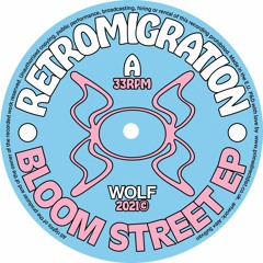 PREMIERE: Retromigration - Free Spirit [Wolf Music]